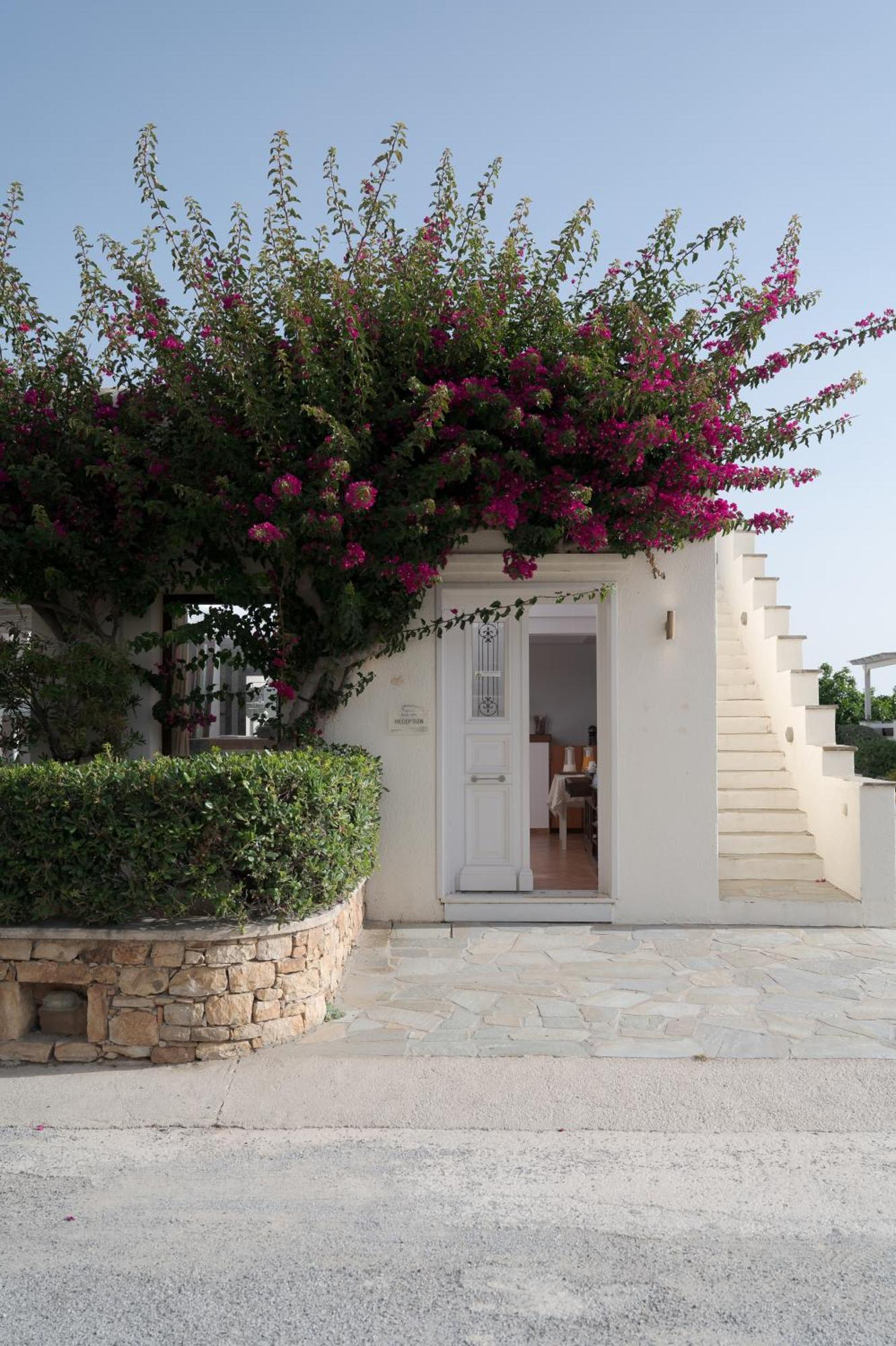 Iliada Villas Агиос-Прокопиос Экстерьер фото
